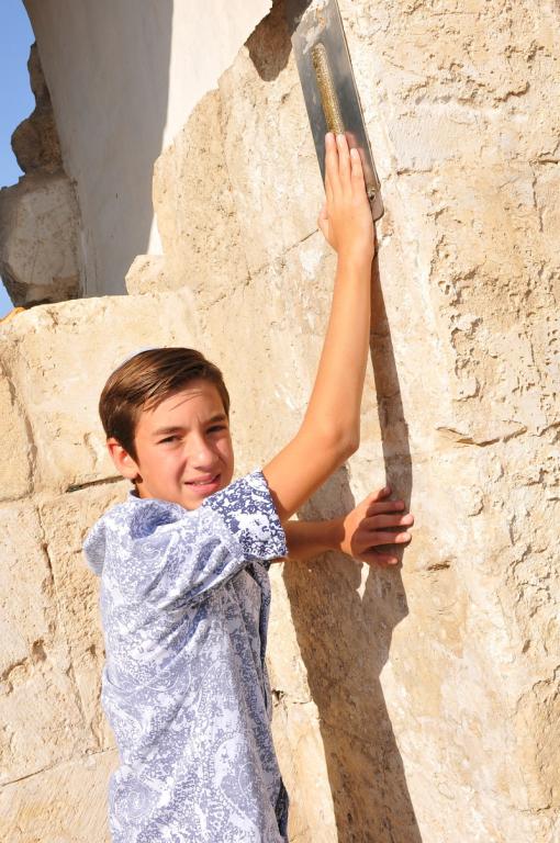 כינור דוד כינור דוד