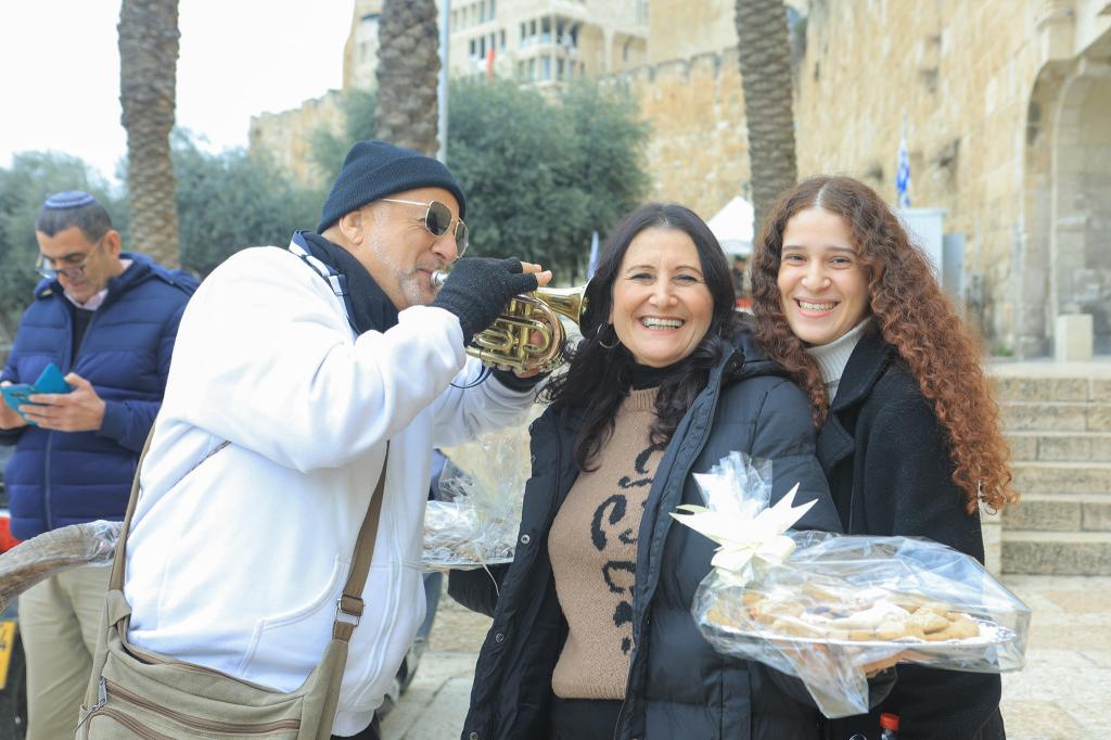 כינור דוד כינור דוד