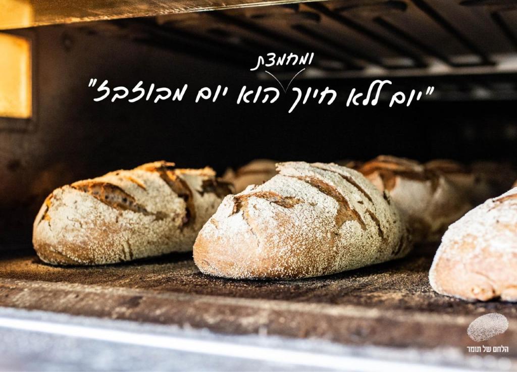 הלחם של תומר הלחם של תומר