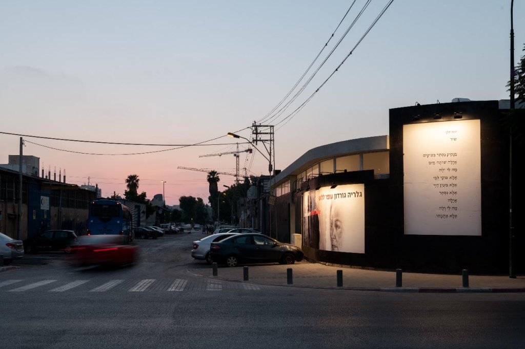 גלריה גורדון גלריה גורדון