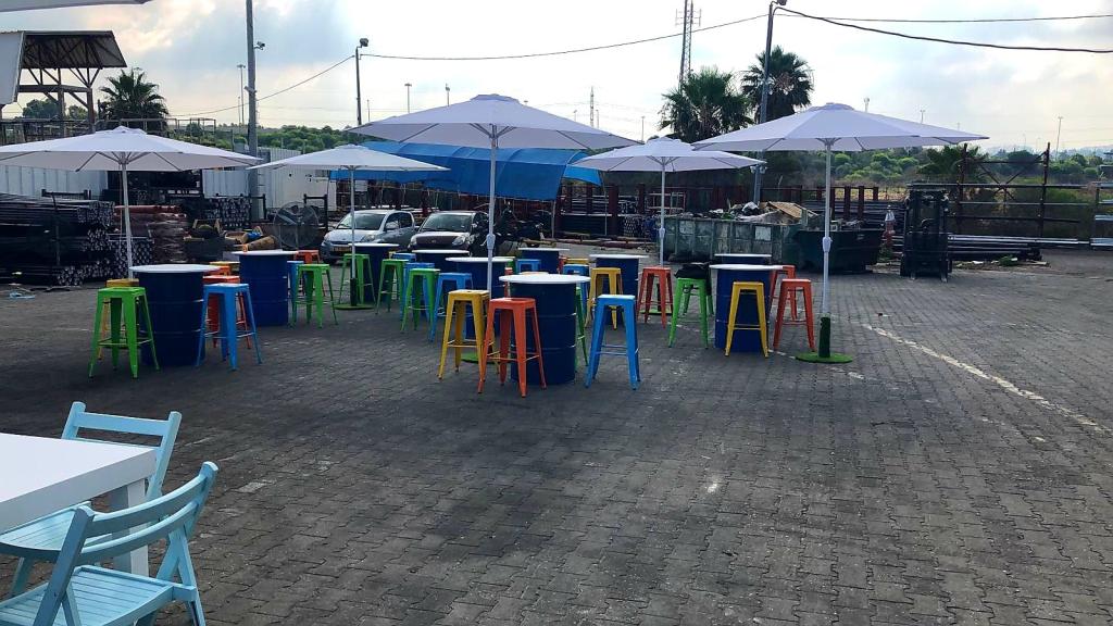 אינגו אינגו