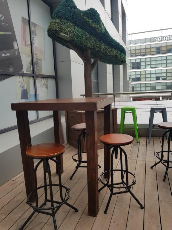 אינגו אינגו