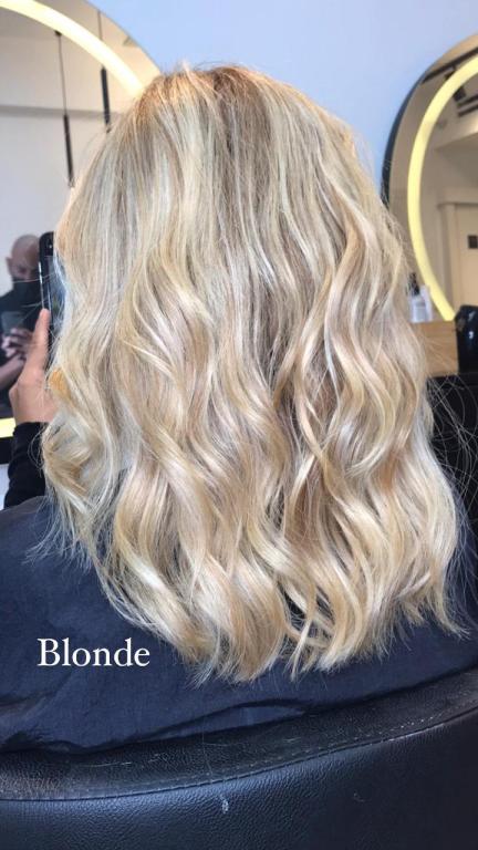 אבי מלכה אבי מלכה