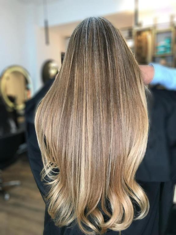 אבי מלכה אבי מלכה