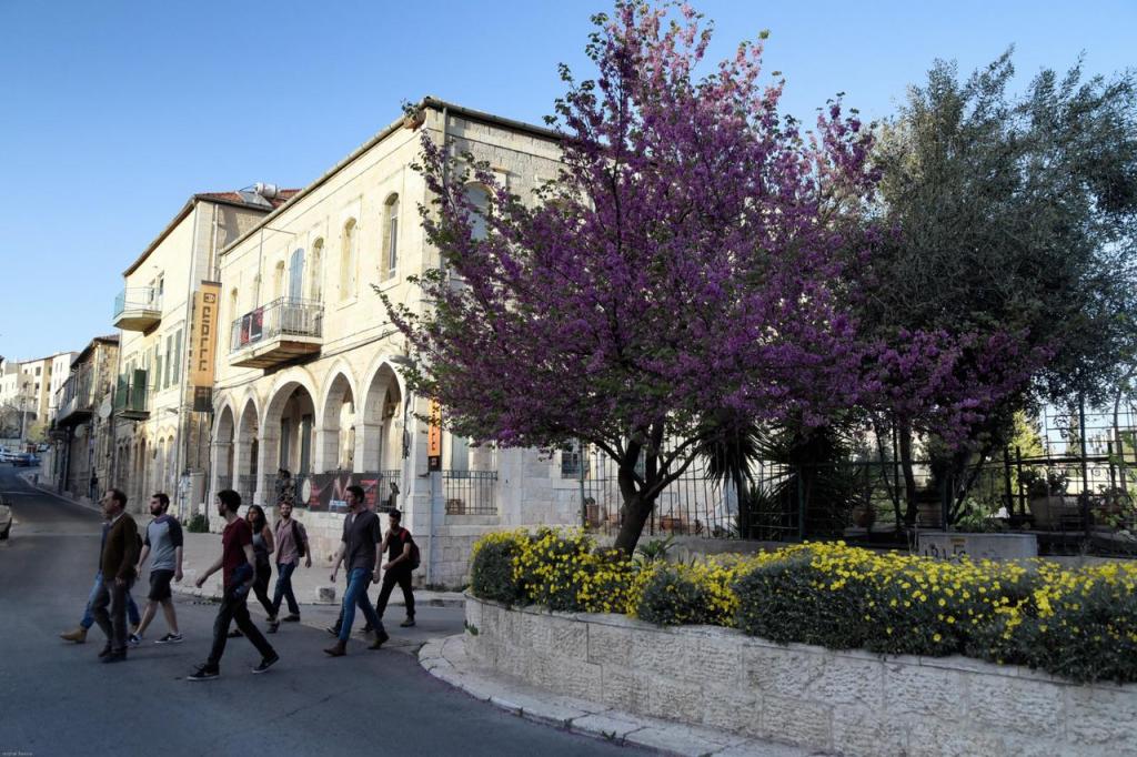 בית הספר לאמנות מוסררה בית הספר לאמנות מוסררה