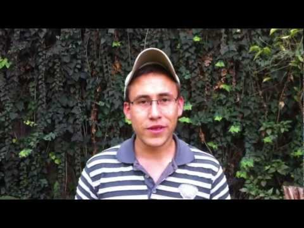 גולדרייך גיל גולדרייך גיל