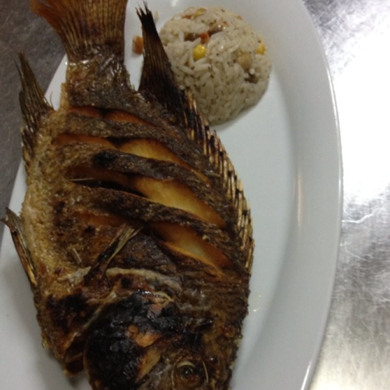 אבו זיד אבו זיד