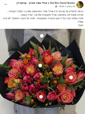 אורלי ספיר סחייק