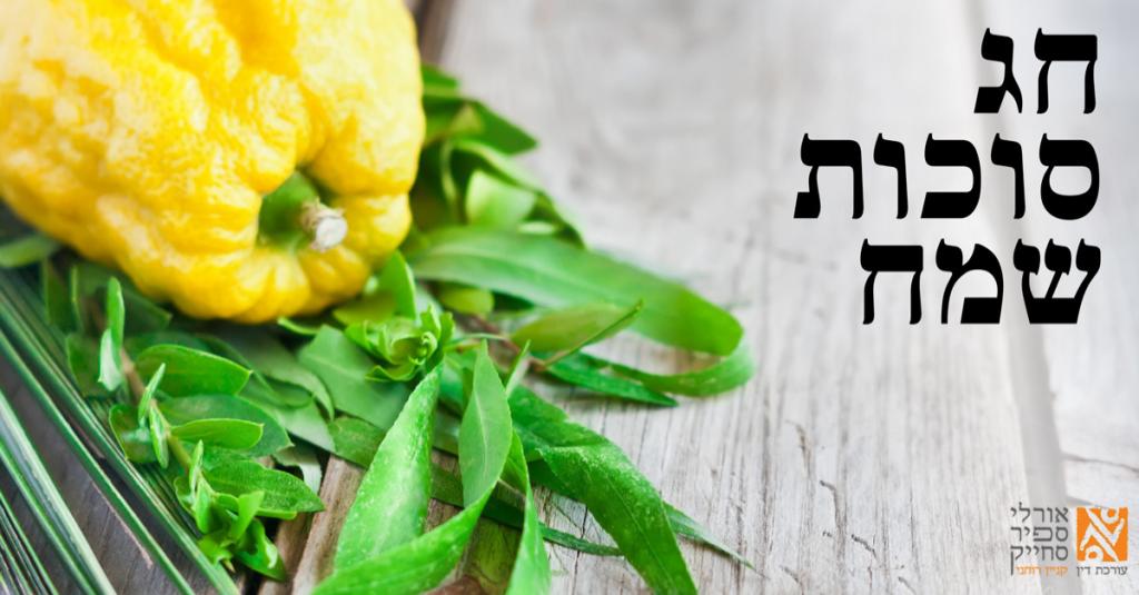 אורלי ספיר סחייק אורלי ספיר סחייק