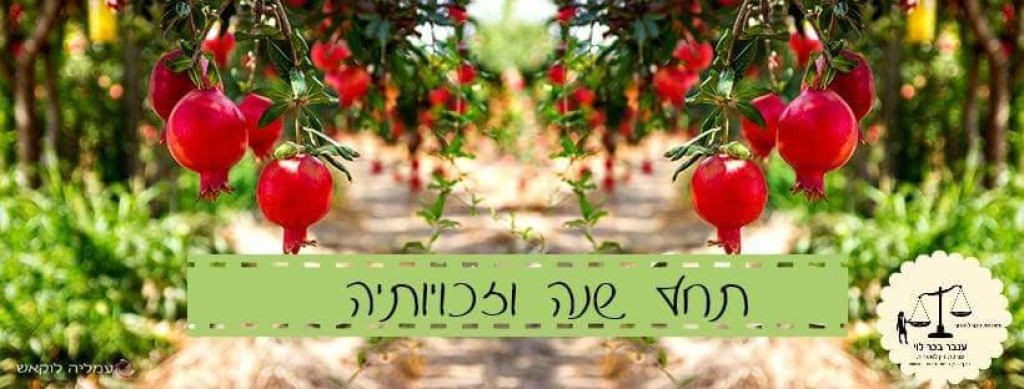 עו"ד ענבר בכר לוי עו"ד ענבר בכר לוי
