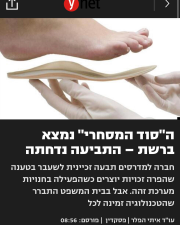 הפלר מאיר