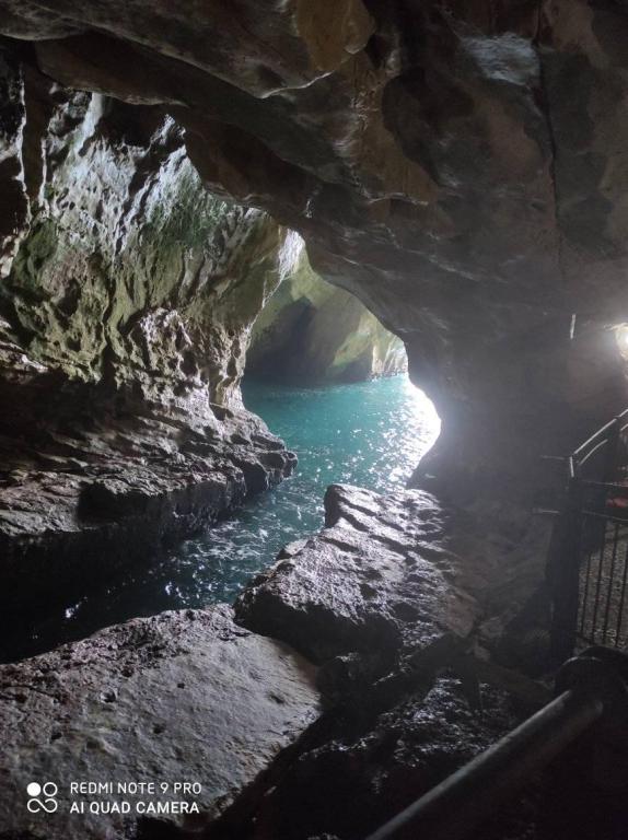 הלוי גיאת צהלה הלוי גיאת צהלה