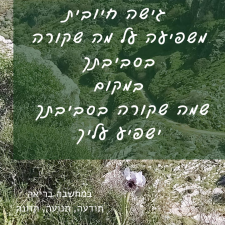 שחר מנחם במחשבה בריאה
