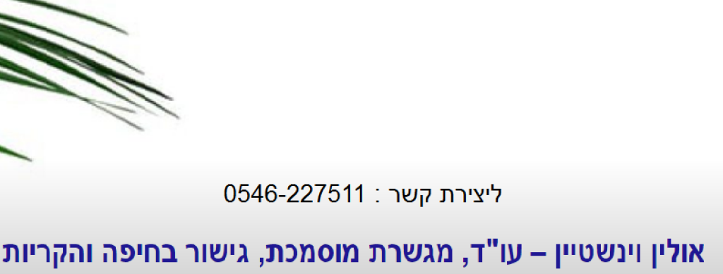עוד אולין וינשטיין עוד אולין וינשטיין