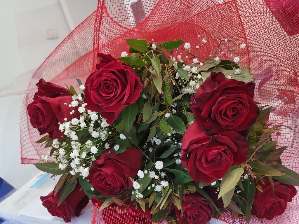 עו"ד אלה ישראלוב פילוסוף עו"ד אלה ישראלוב פילוסוף