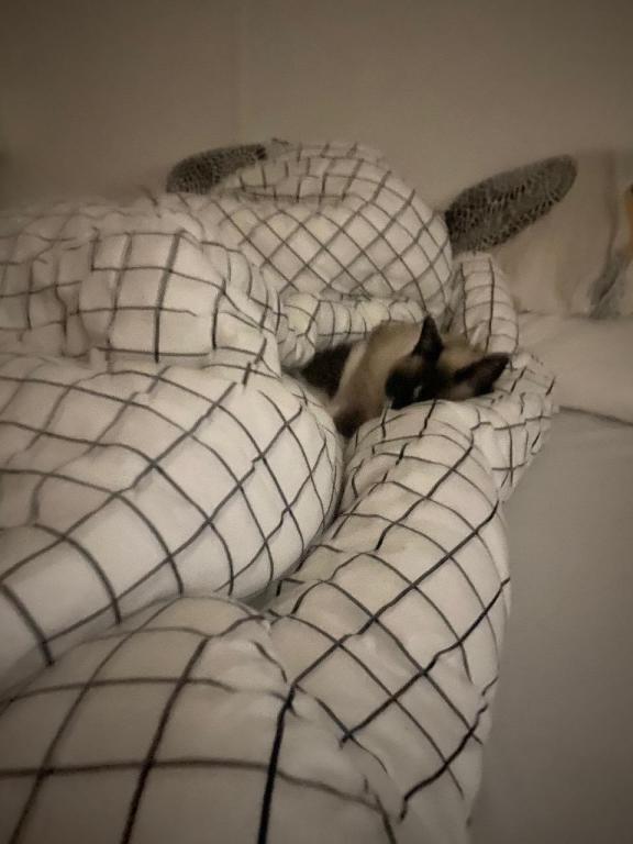 קניון גני הדרים קניון גני הדרים