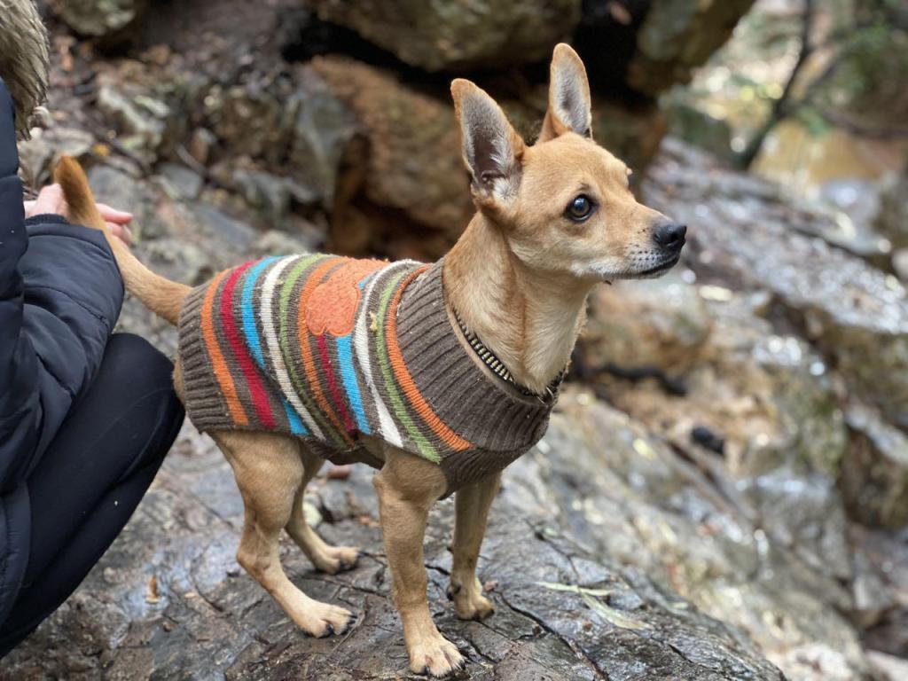 קניון גני הדרים קניון גני הדרים