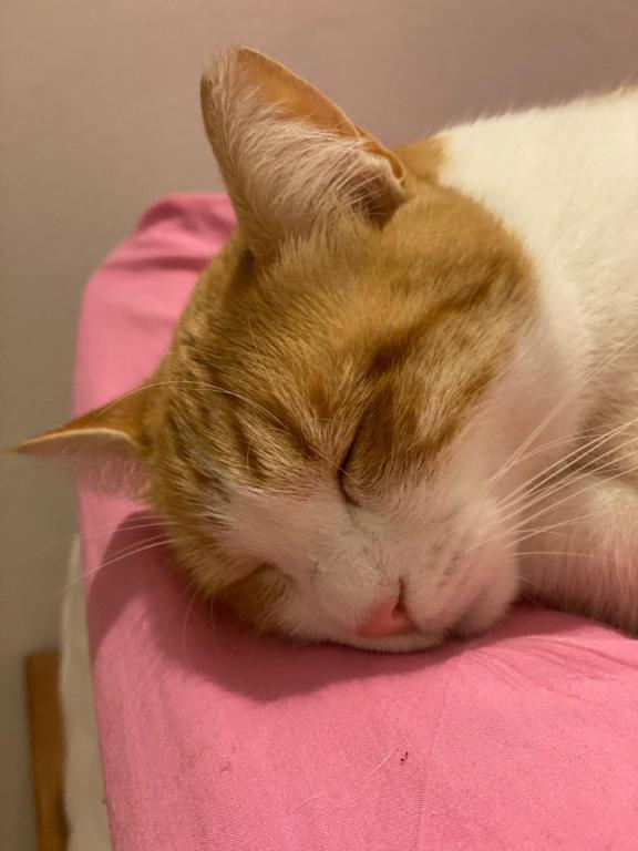 קניון גני הדרים קניון גני הדרים