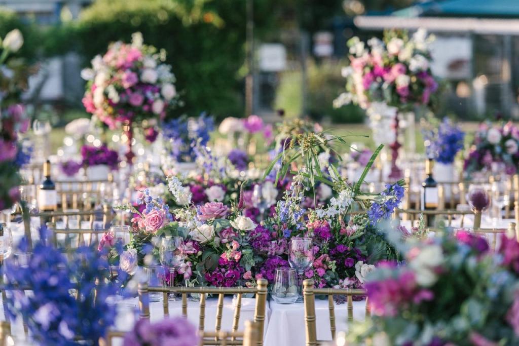 אביבה ארועים אביבה ארועים