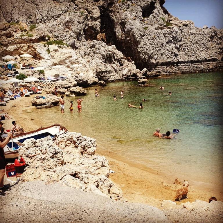 אלדד אוחיון אלדד אוחיון