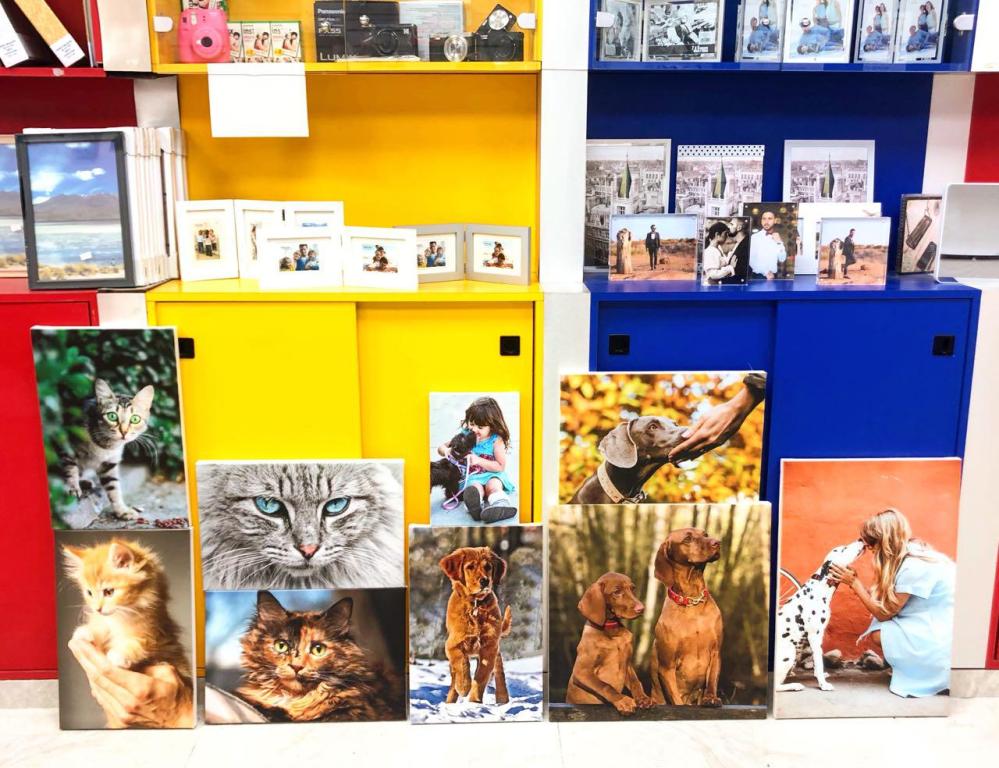 מימד צילום והדפסות מימד צילום והדפסות