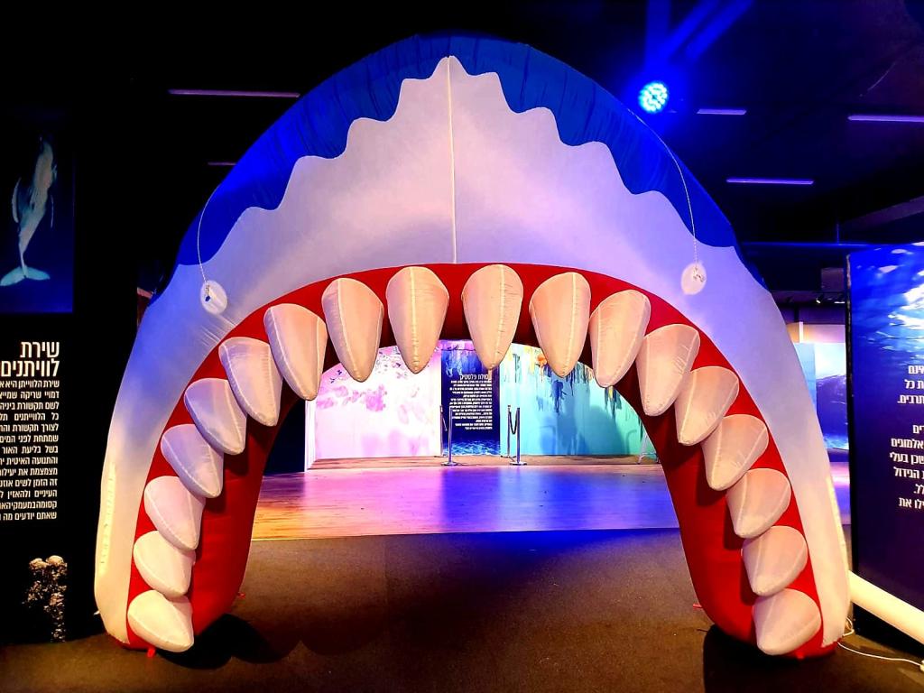 גיל טייכמן גיל טייכמן