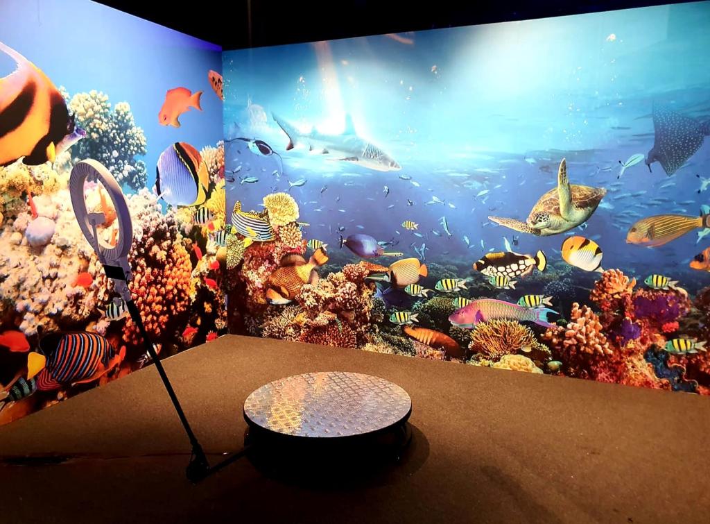 גיל טייכמן גיל טייכמן