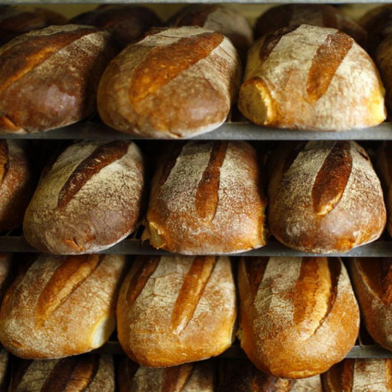 שני האופים שני האופים