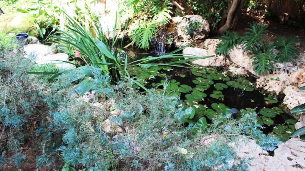 דרנא ספא דרנא ספא