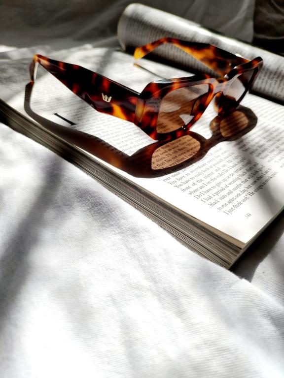 אופטיקה פרינס אופטיקה פרינס