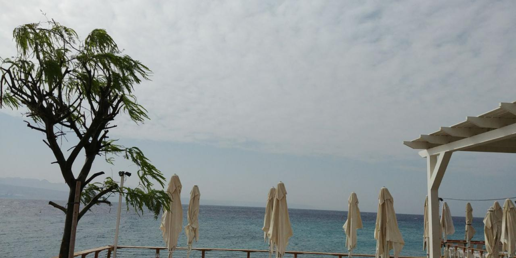 ברביץ' ברביץ'