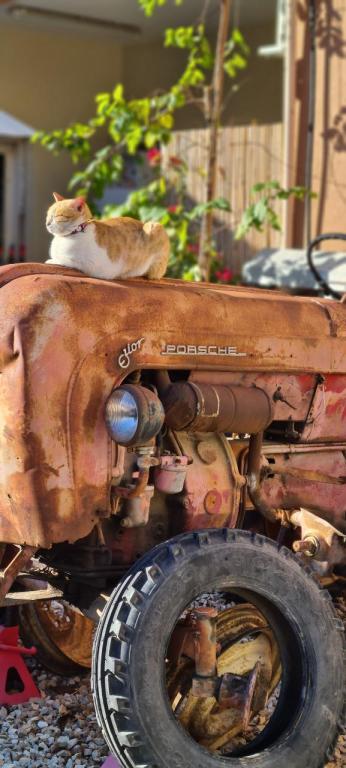 יקב סומק יקב סומק