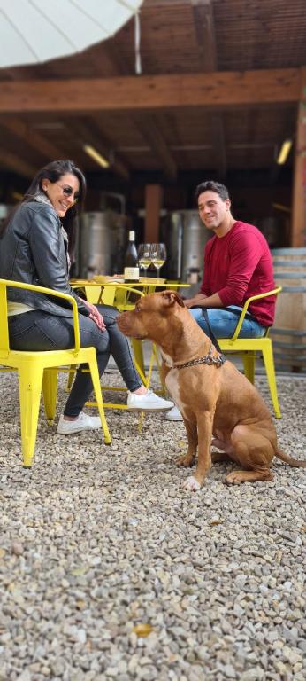 יקב סומק יקב סומק