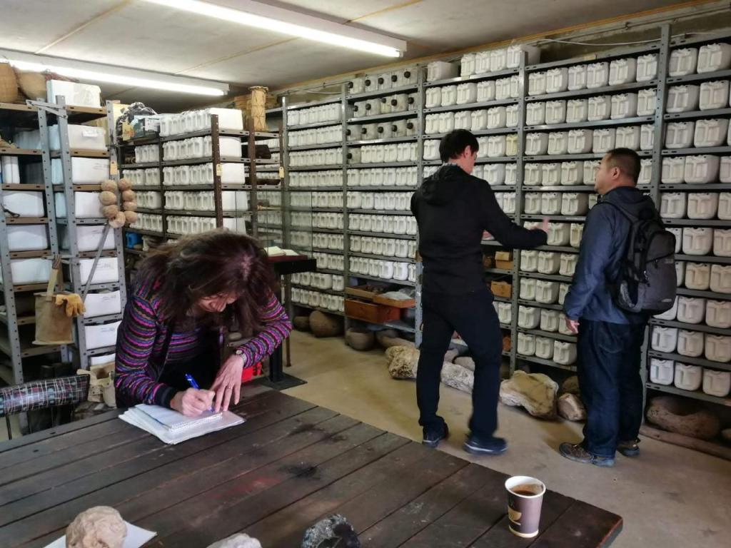 מוזיאון האדם הקדמון מוזיאון האדם הקדמון