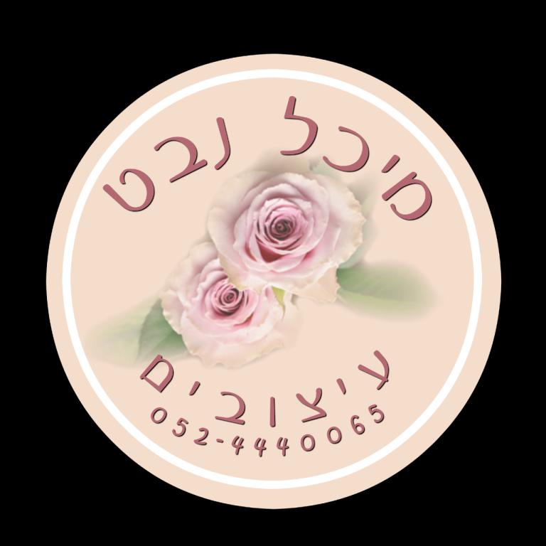 חדר החלומות של מיכל יום הולדת חדר החלומות של מיכל יום הולדת