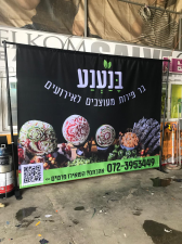 ניו ארט עיצוב 2002