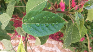 מחשבים בקלי קלות