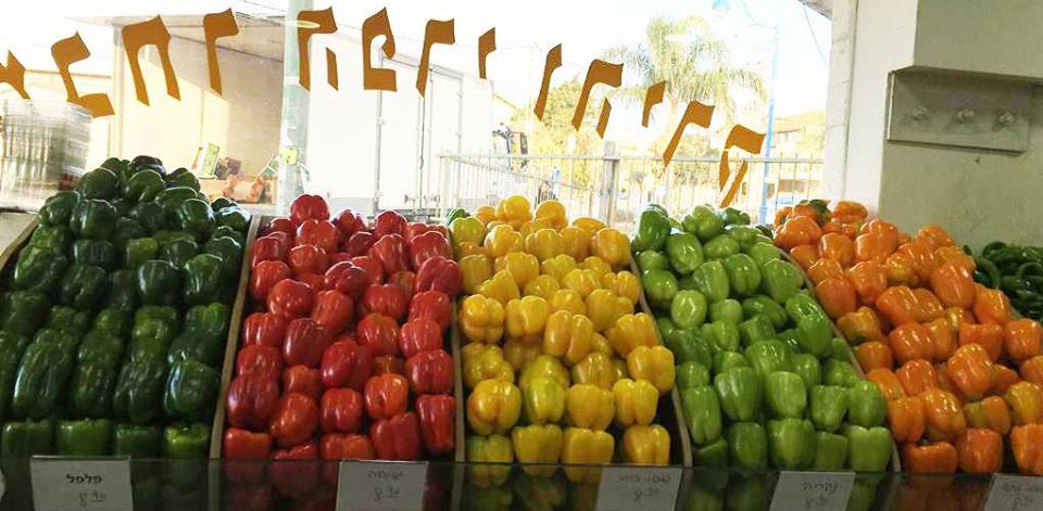 מבחר הפרי והירק מבחר הפרי והירק