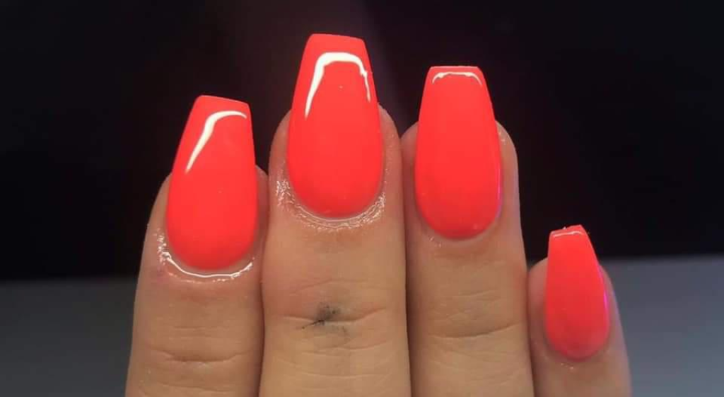 ליז קוסמטיקס ליז קוסמטיקס