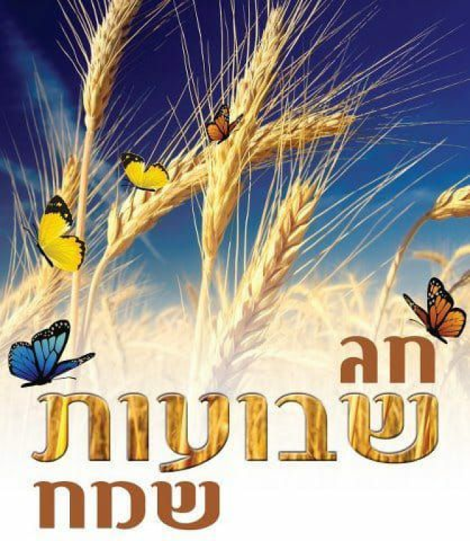 הזדמנות ציוד לאירועים הזדמנות ציוד לאירועים