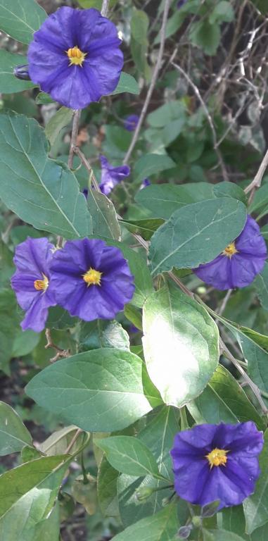 הזדמנות ציוד לאירועים הזדמנות ציוד לאירועים