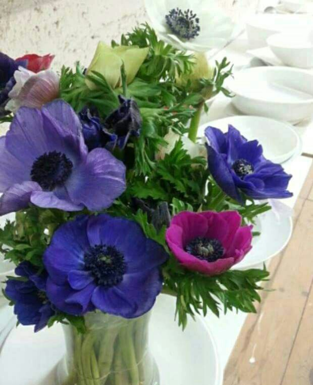 הזדמנות ציוד לאירועים הזדמנות ציוד לאירועים