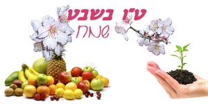 הזדמנות ציוד לאירועים