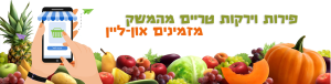 חלב ודבש בניית אתרים