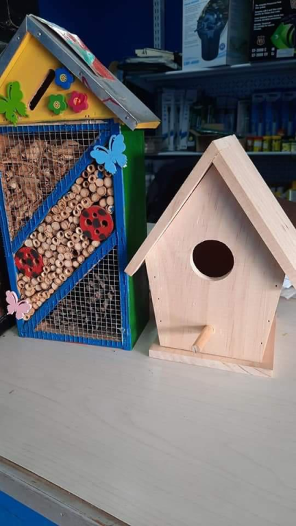 דגי נוי שורשים דגי נוי שורשים