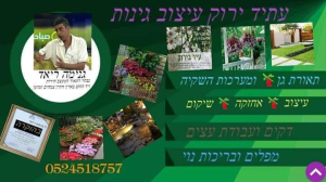 עתיד ירוק