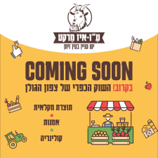 בזלת הפקות