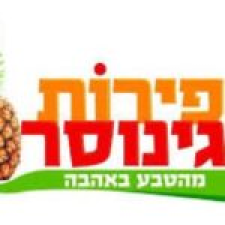 פירות גינוסר