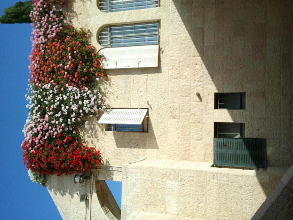 גן ונוי גן ונוי