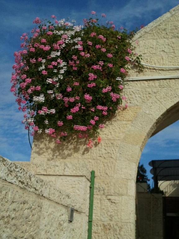 גן ונוי גן ונוי